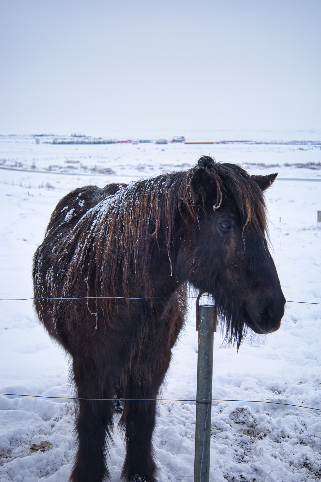 Golden Circle Iceland