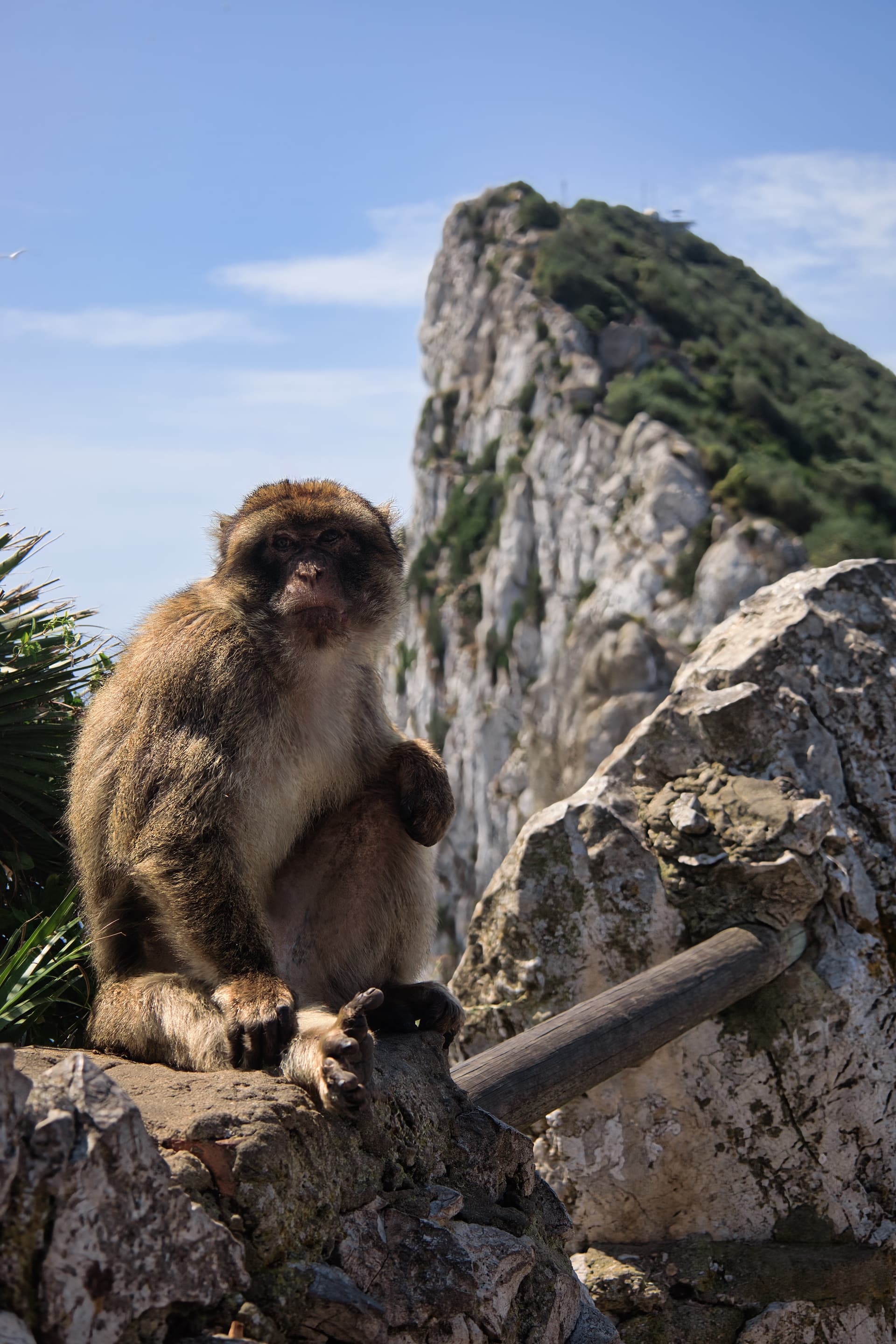 Gibraltar Photos