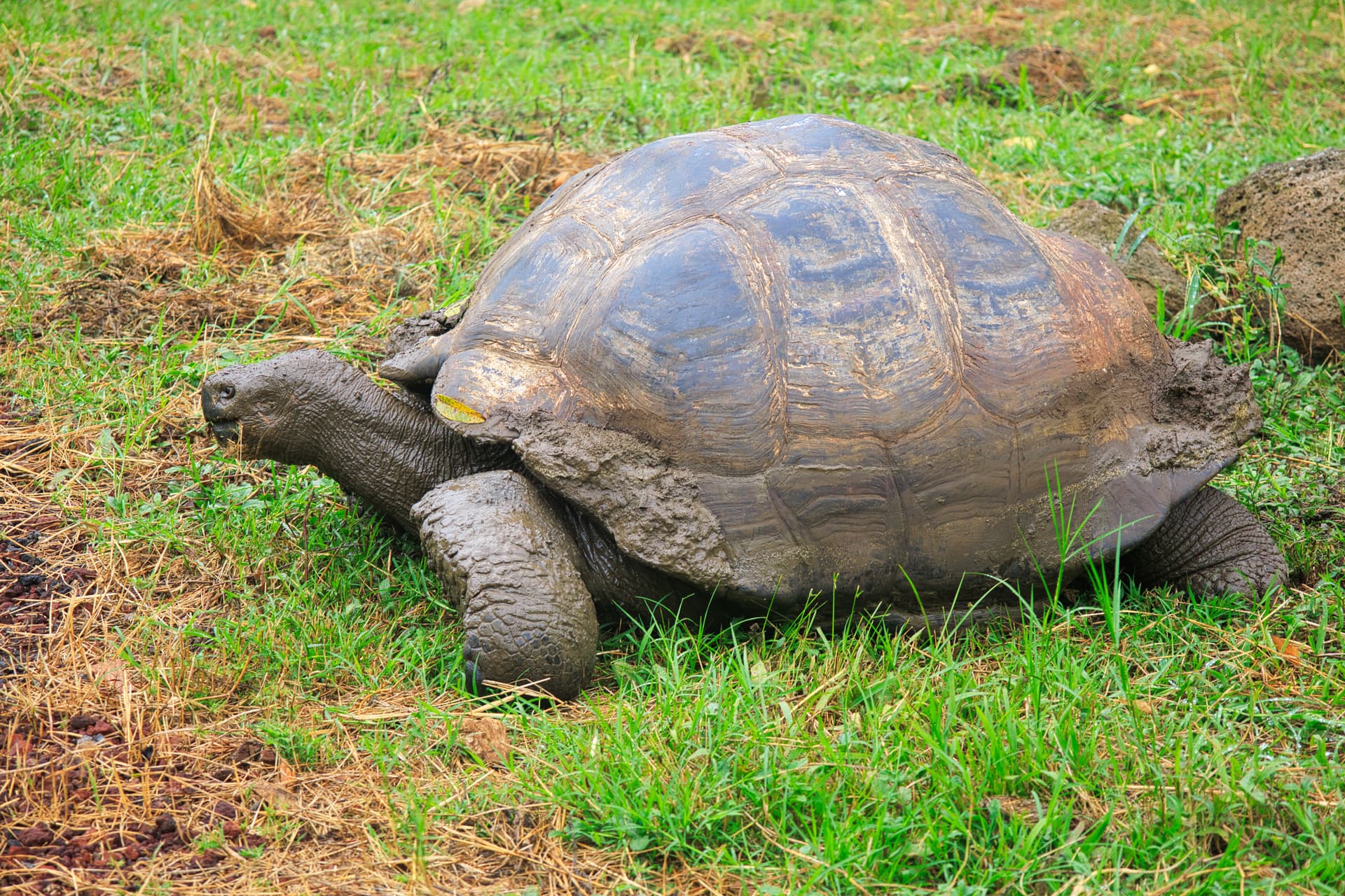 Galapagos Photos