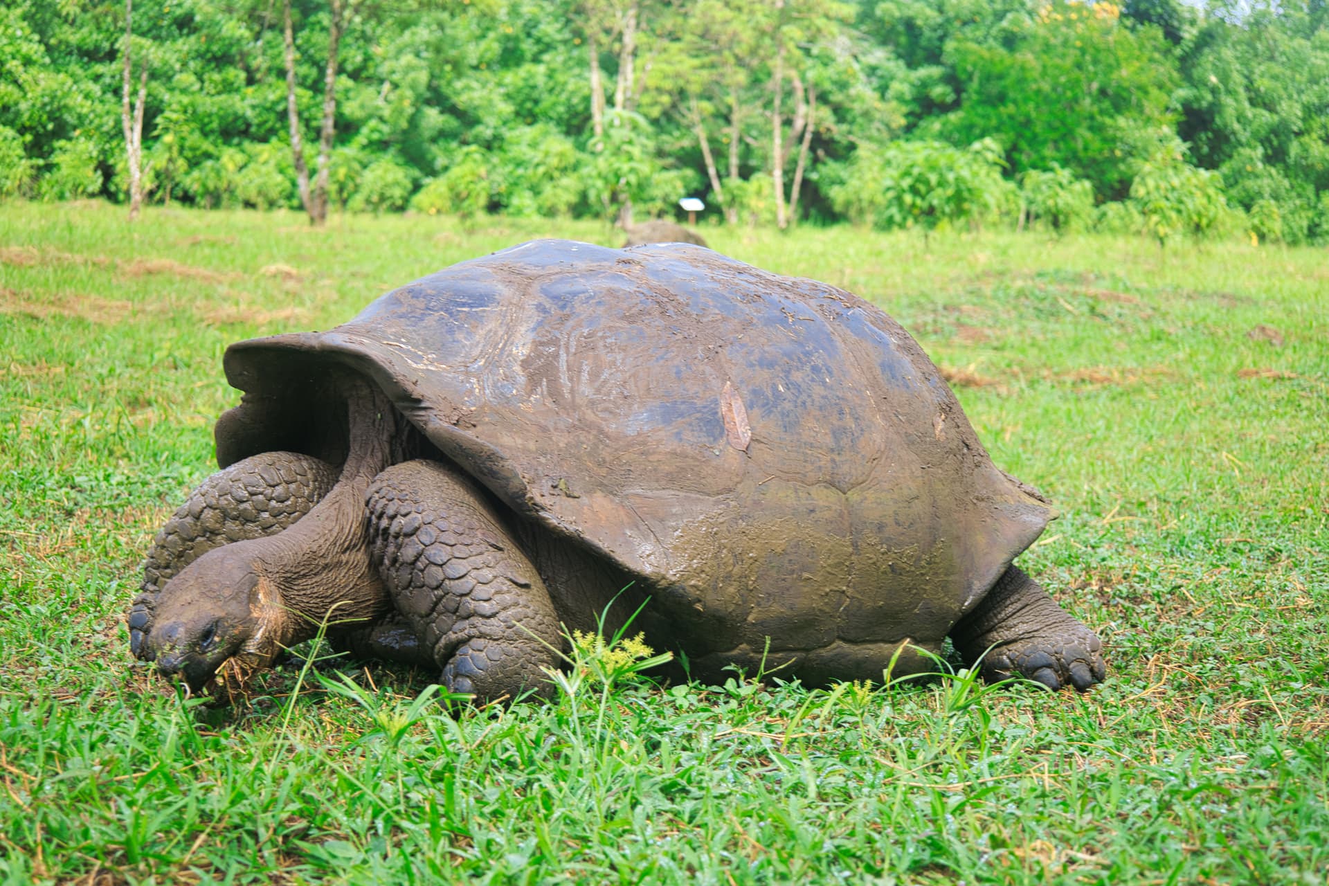 Galapagos Photos