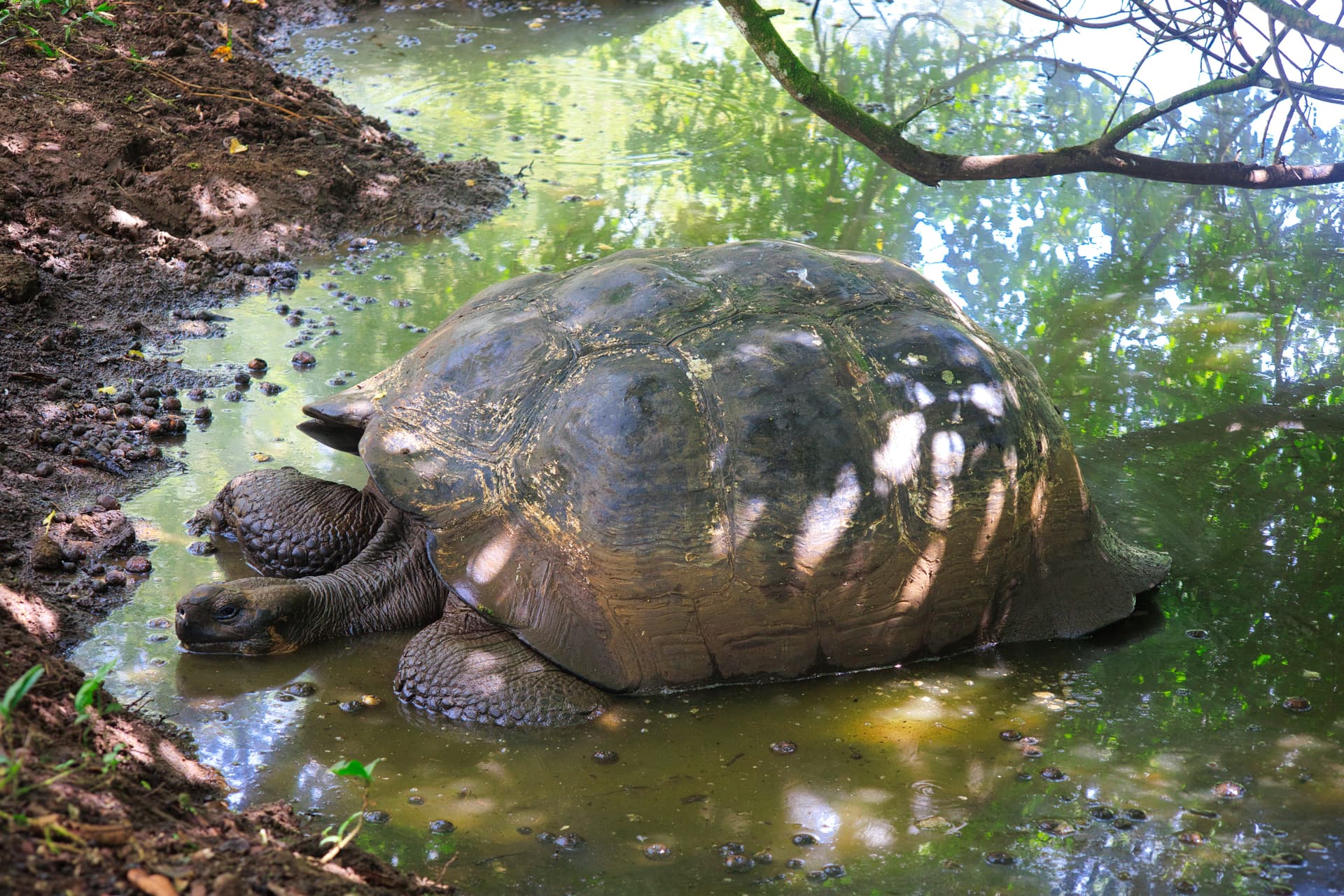 Galapagos Photos