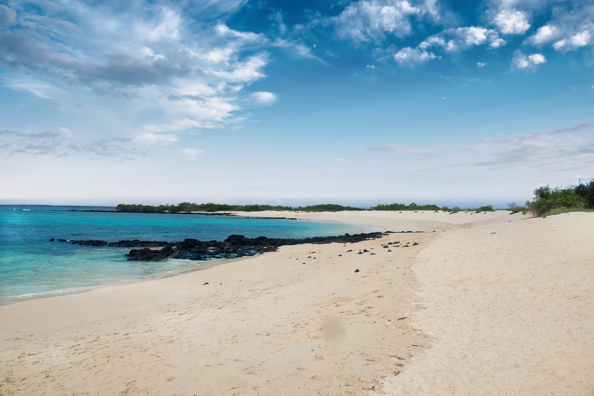 Galapagos Photos