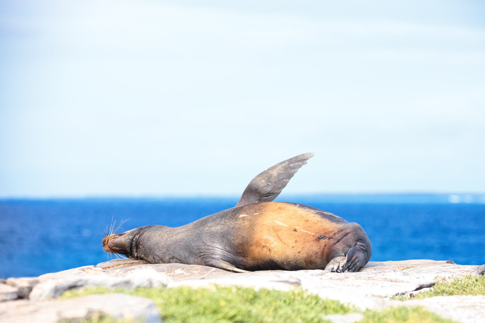 Galapagos Photos