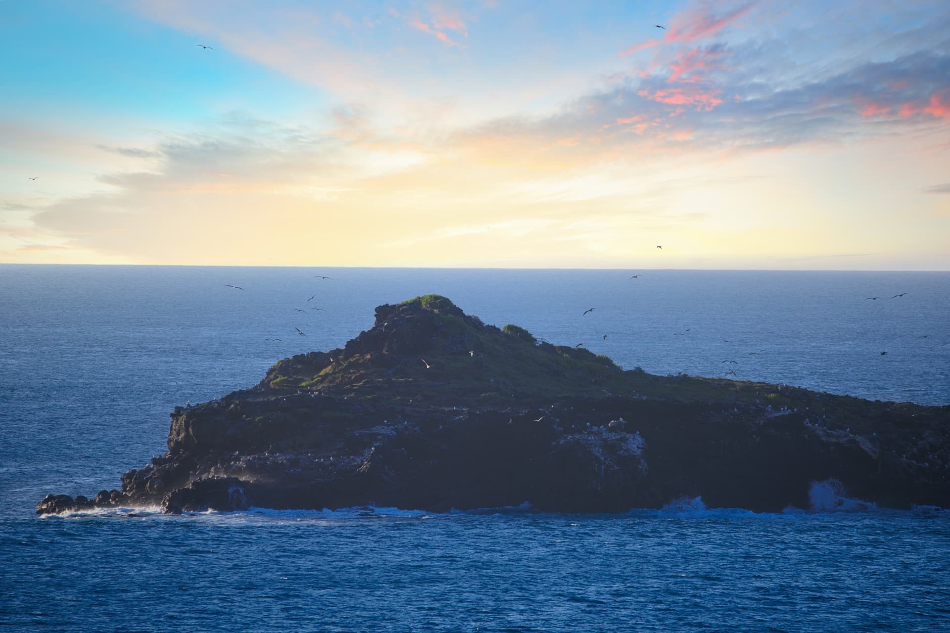 Galapagos Photos