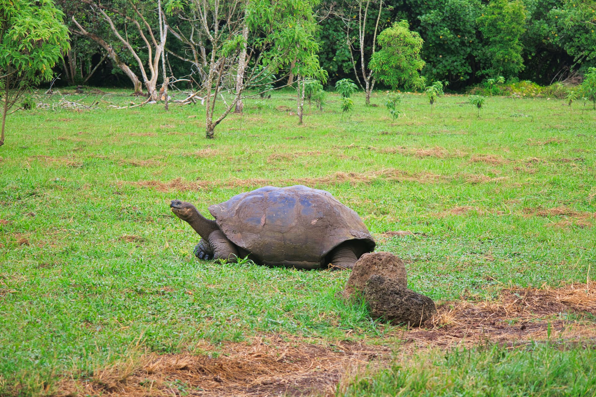 Galapagos Photos