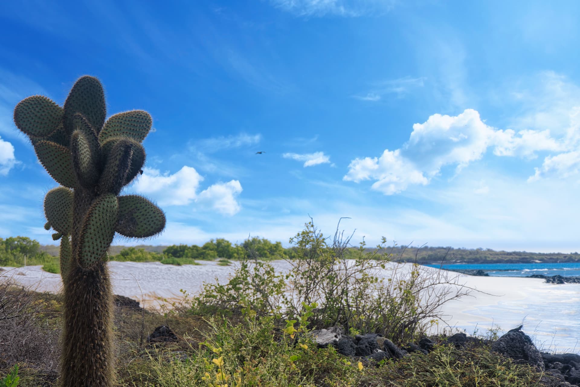 Galapagos Photos