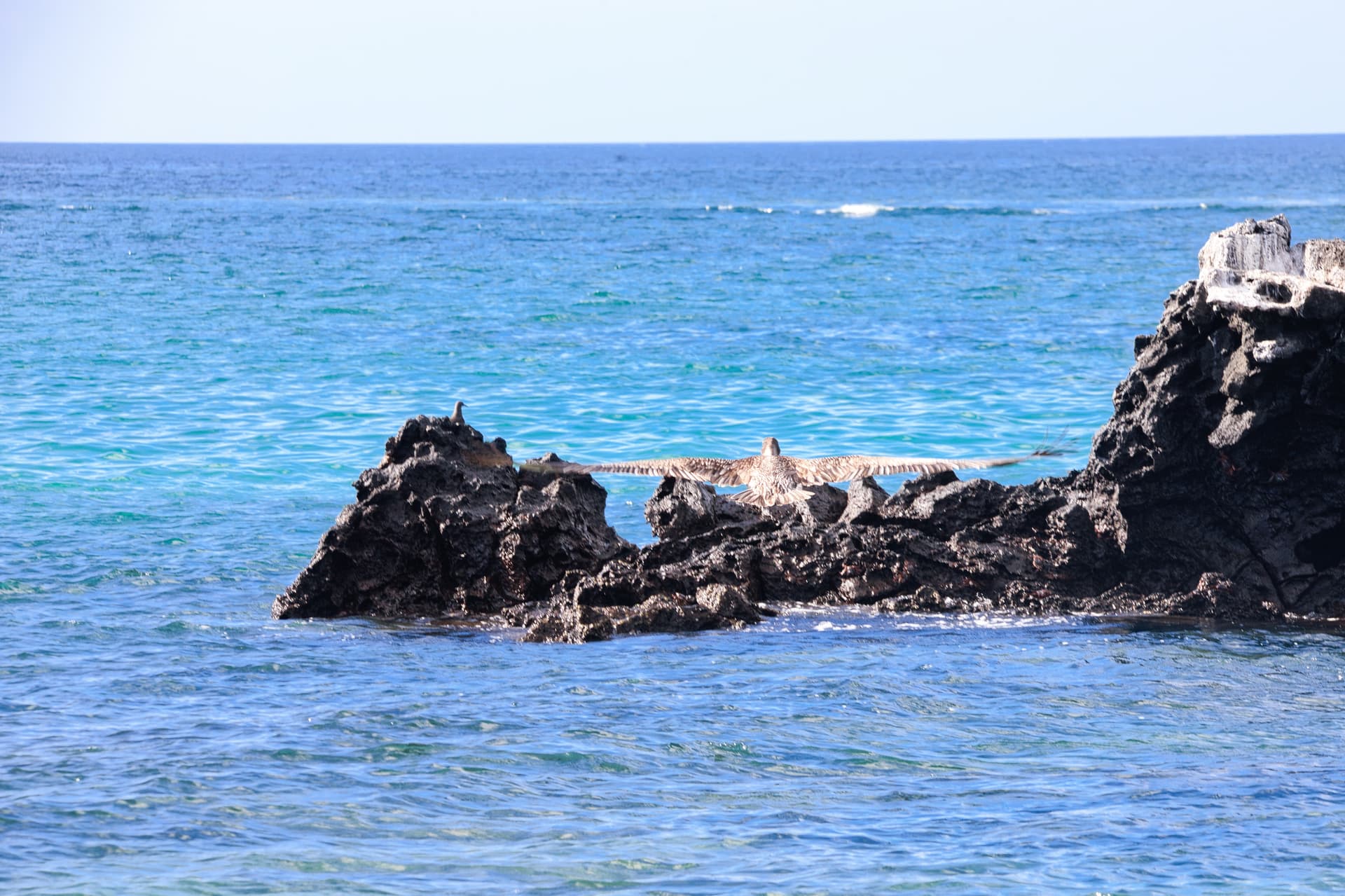 Galapagos Photos