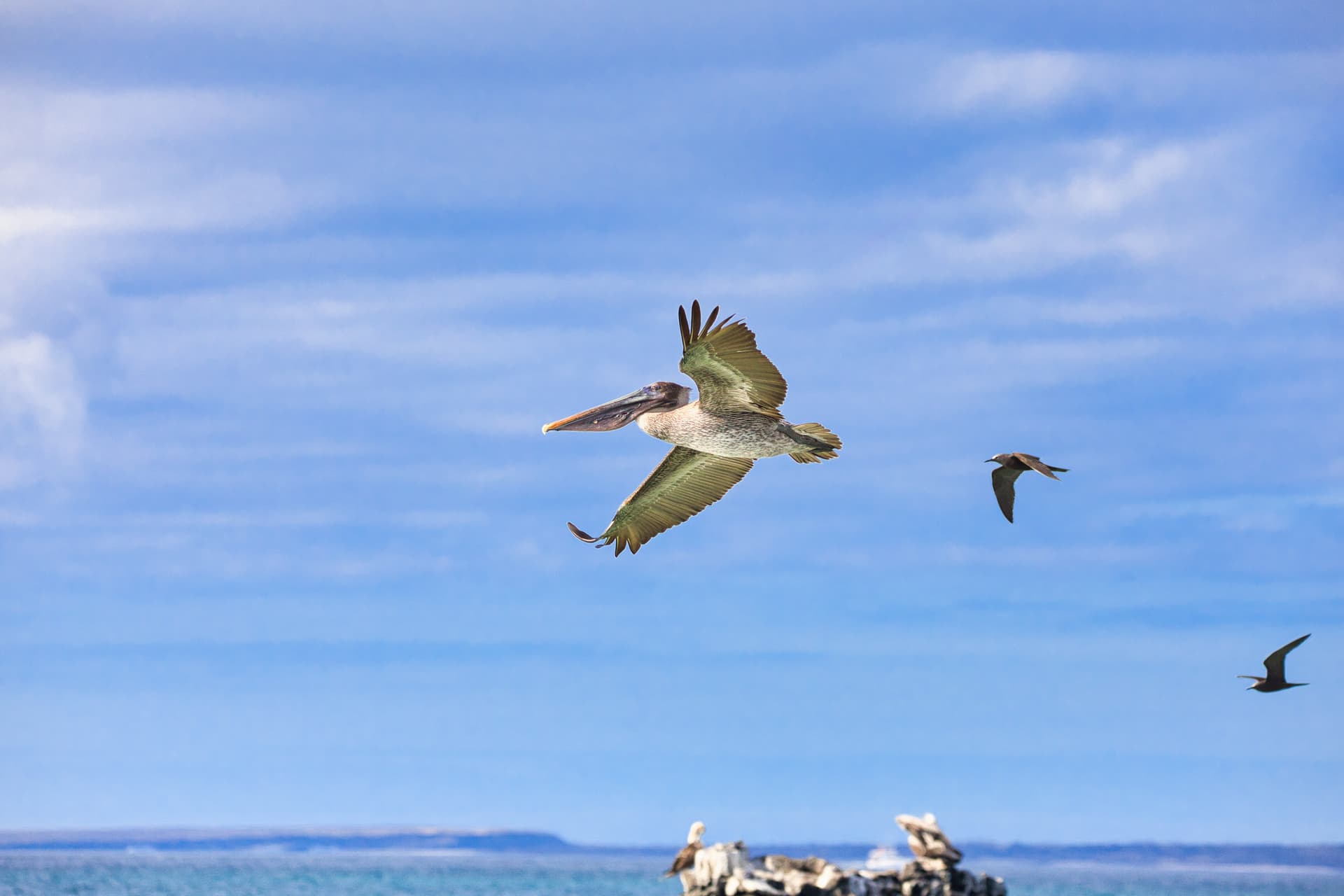 Galapagos Photos