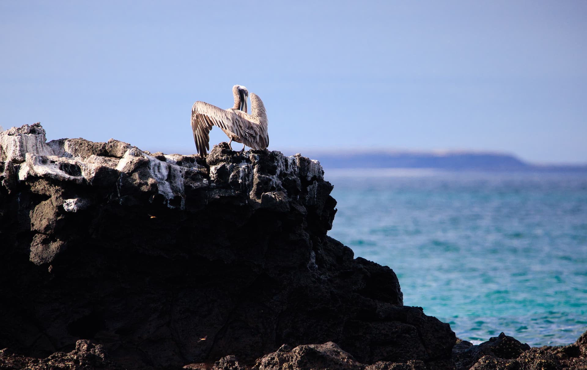 Galapagos Photos