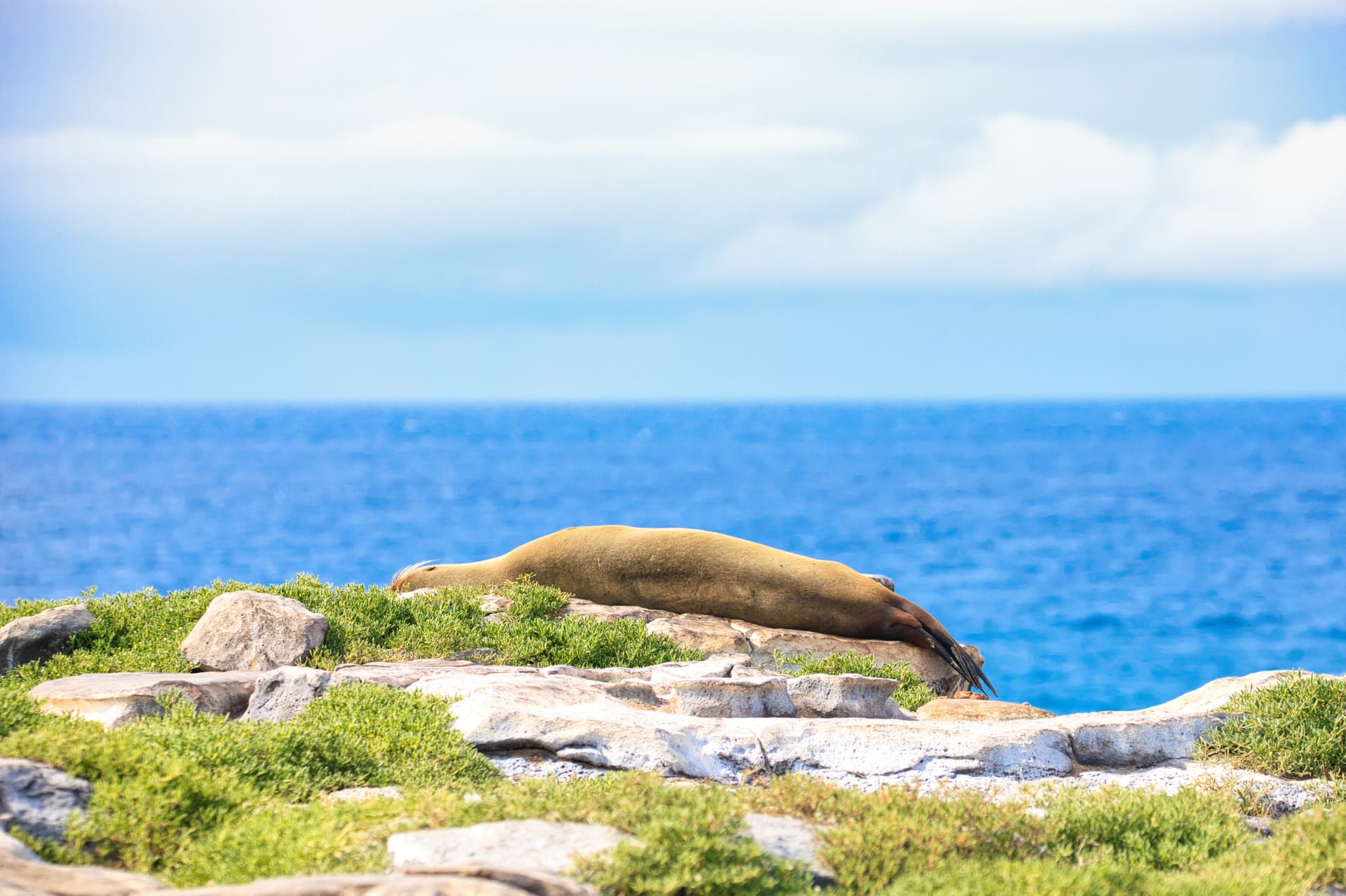 Galapagos Photos