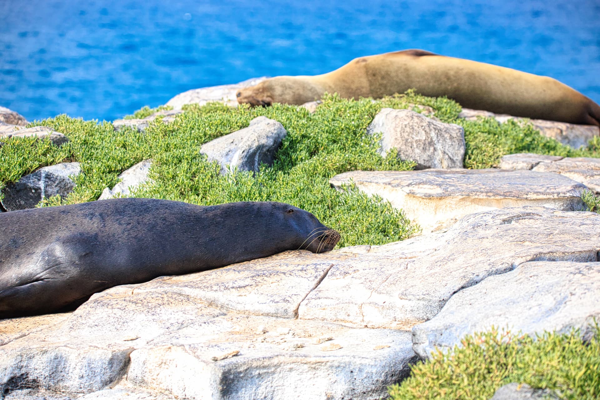 Galapagos Photos