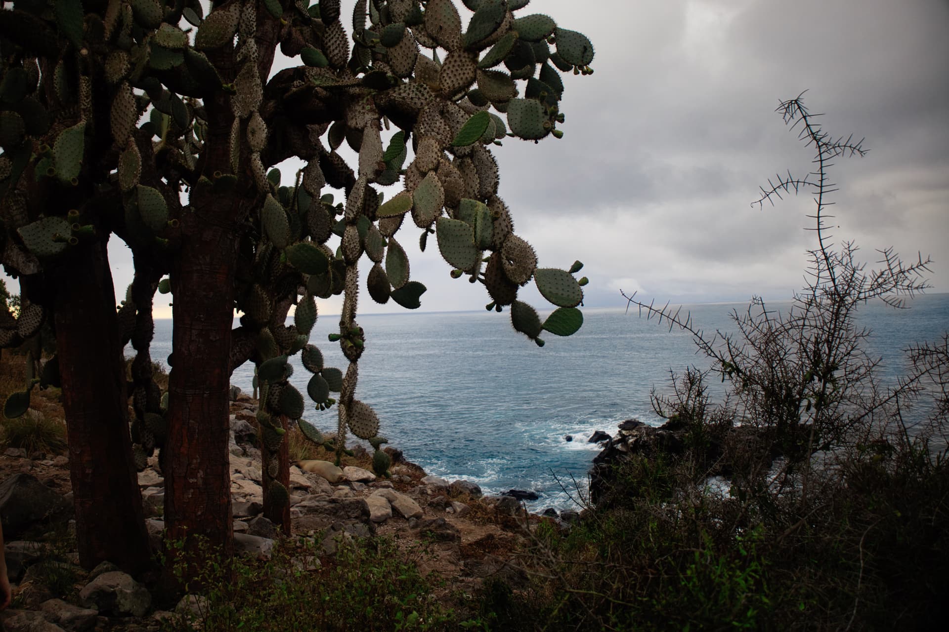 Galapagos Photos