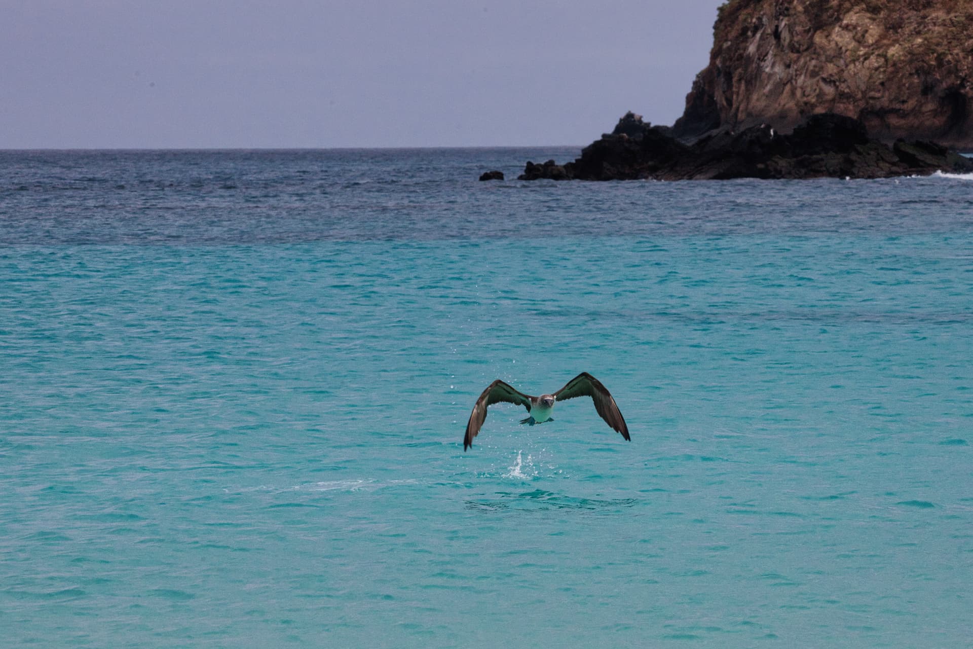 Galapagos Photos