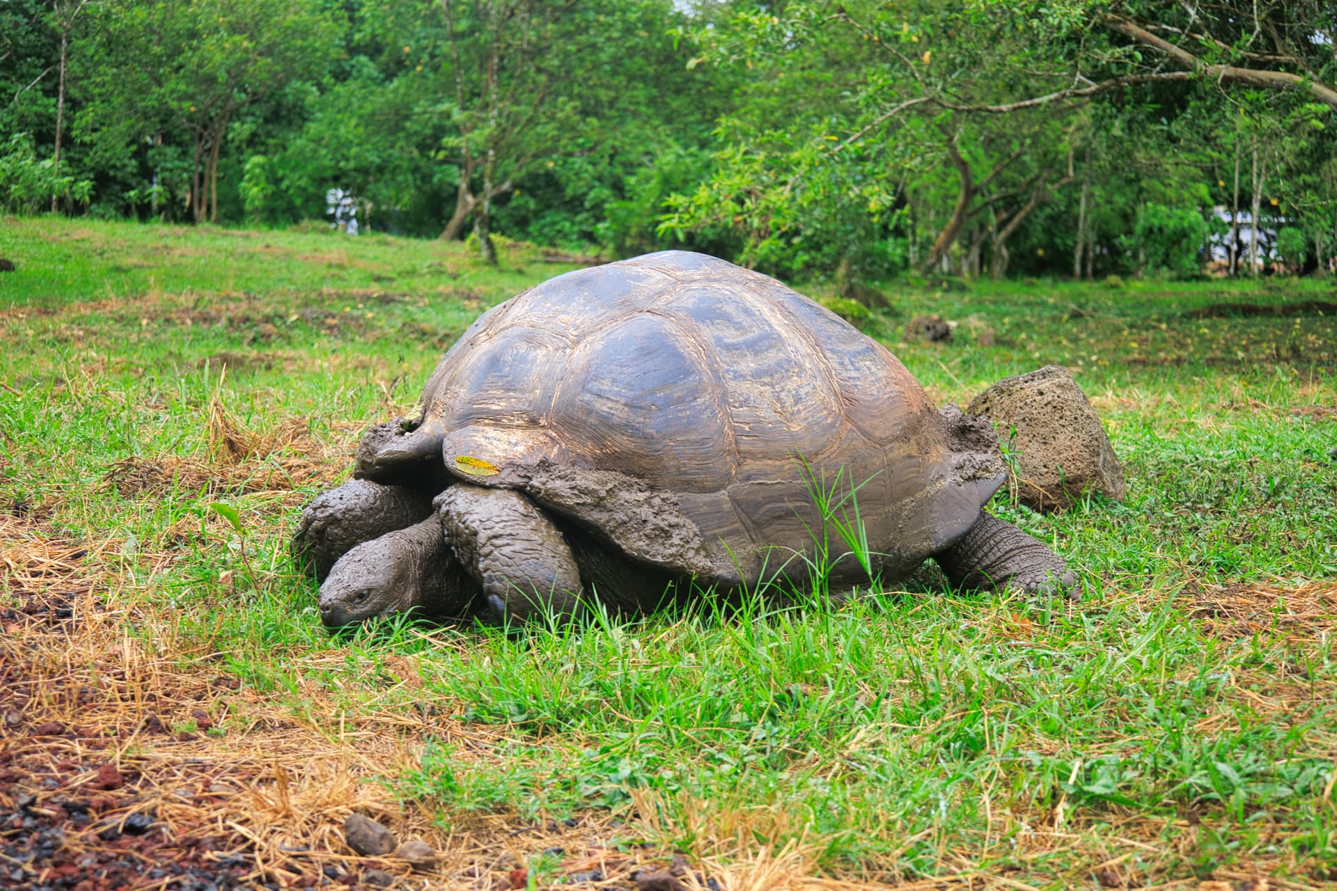 Galapagos Photos