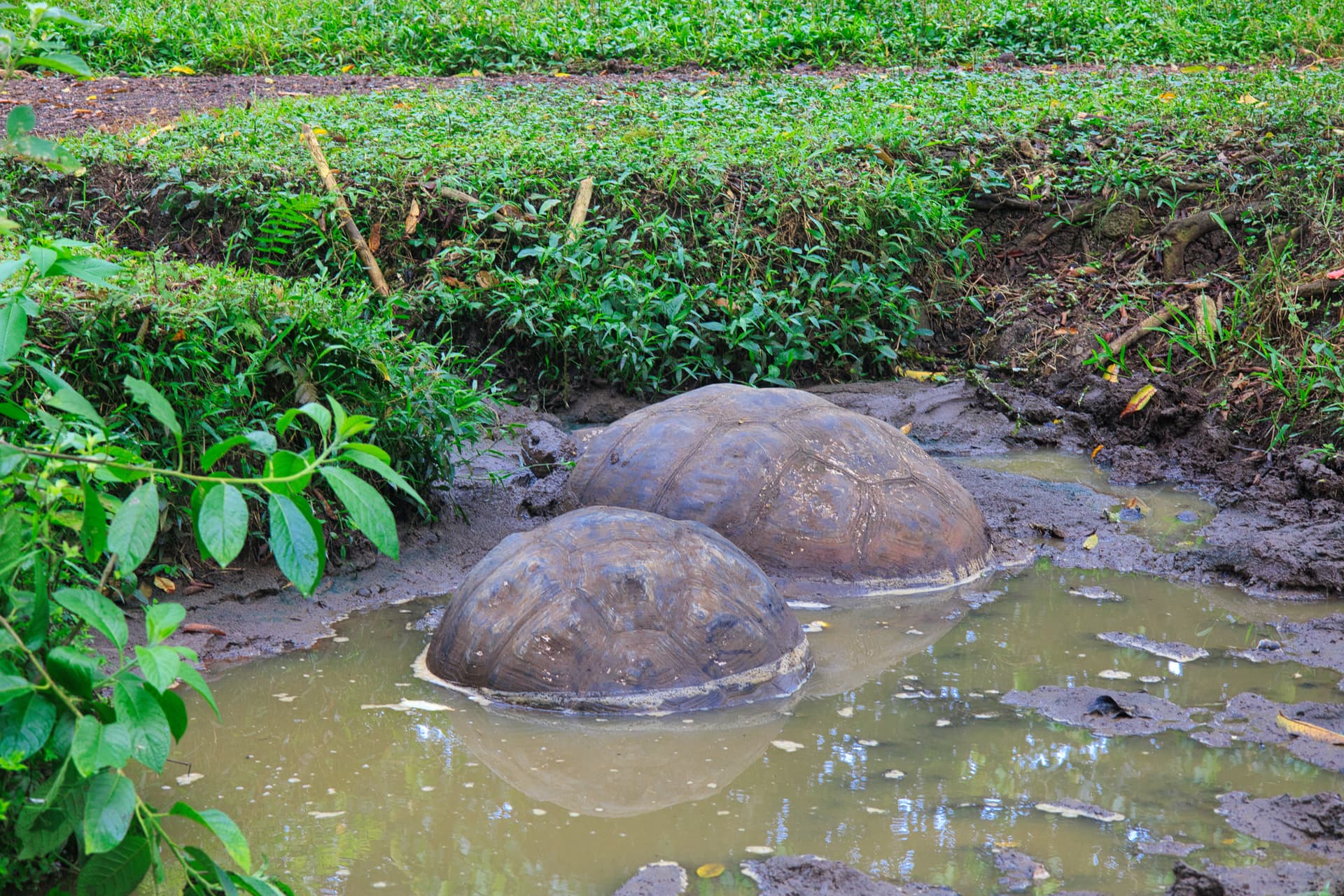 Galapagos Photos