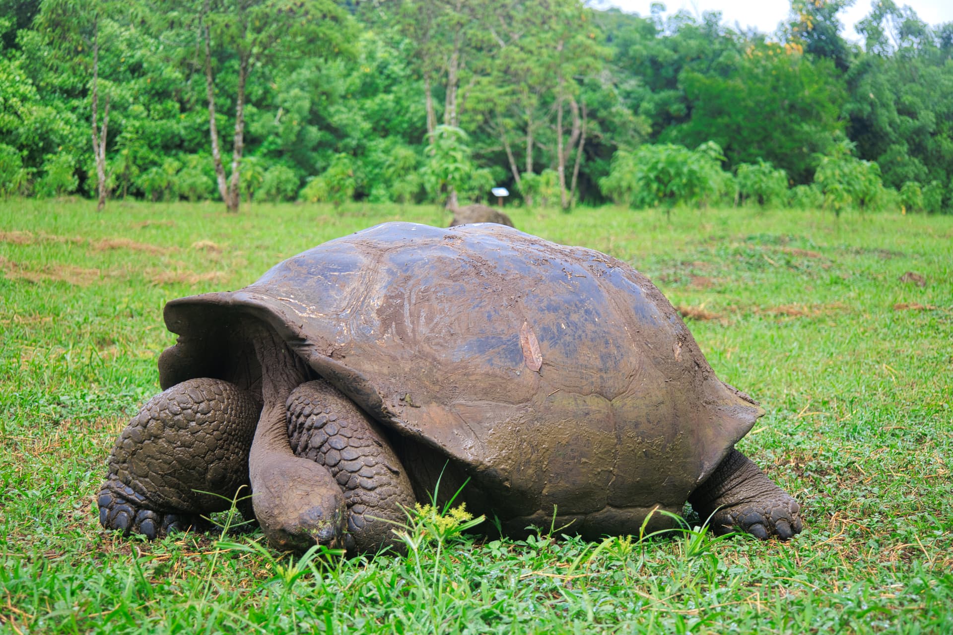 Galapagos Photos
