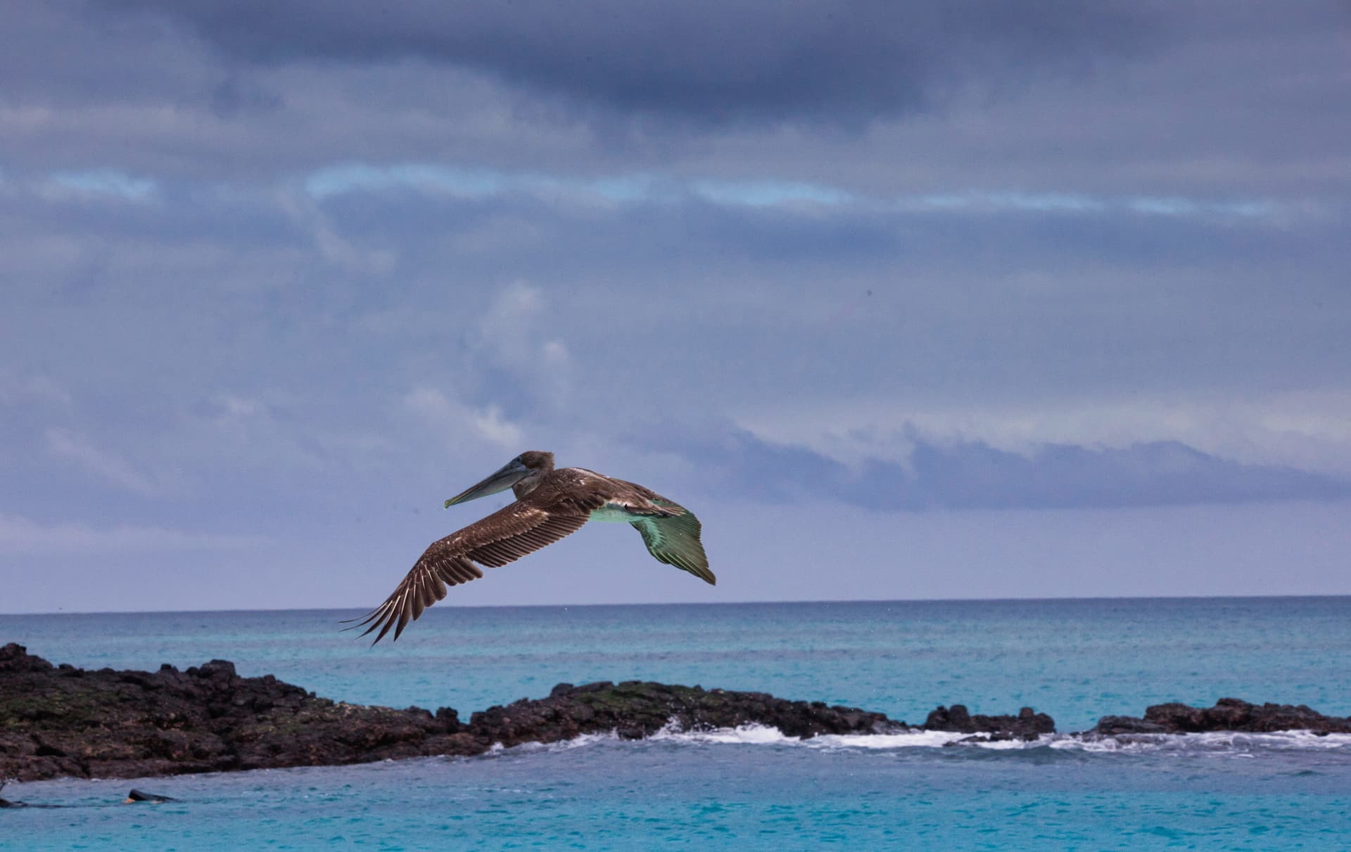 Galapagos Photos