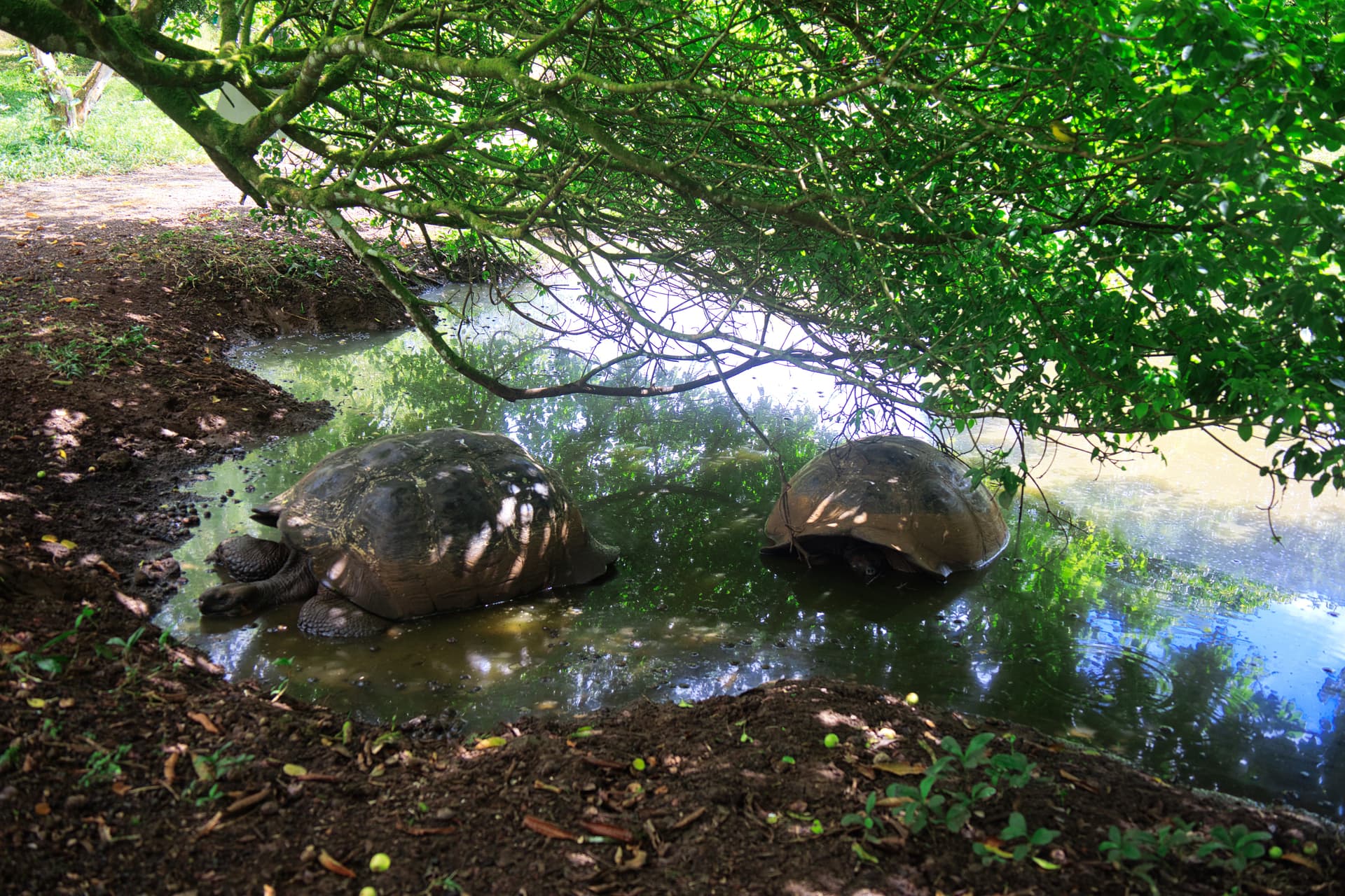 Galapagos Photos