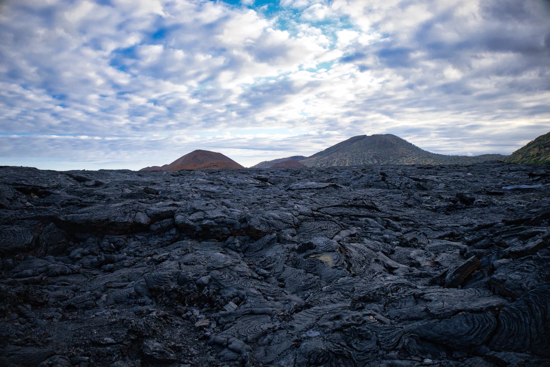 Galapagos Photos