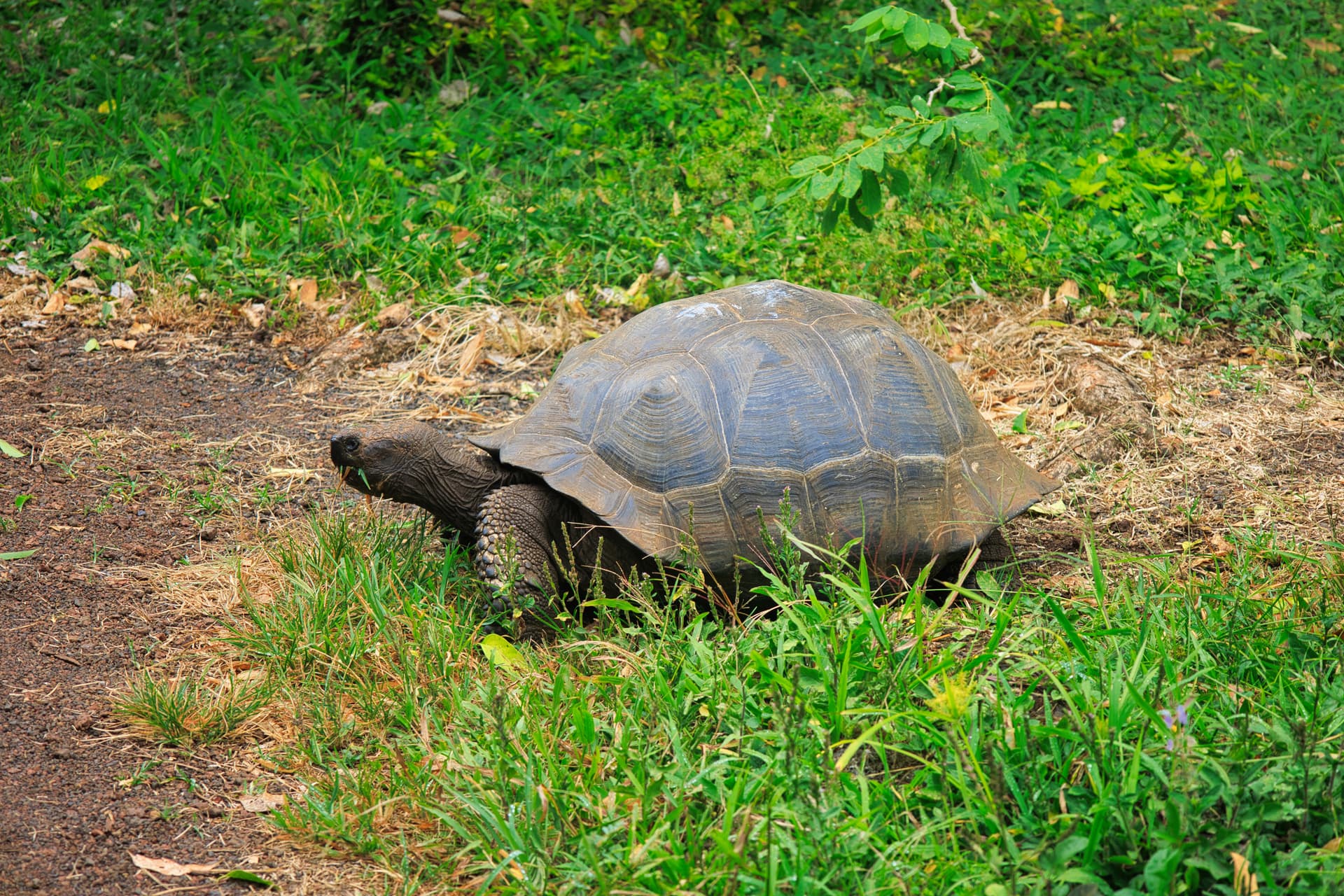Galapagos Photos