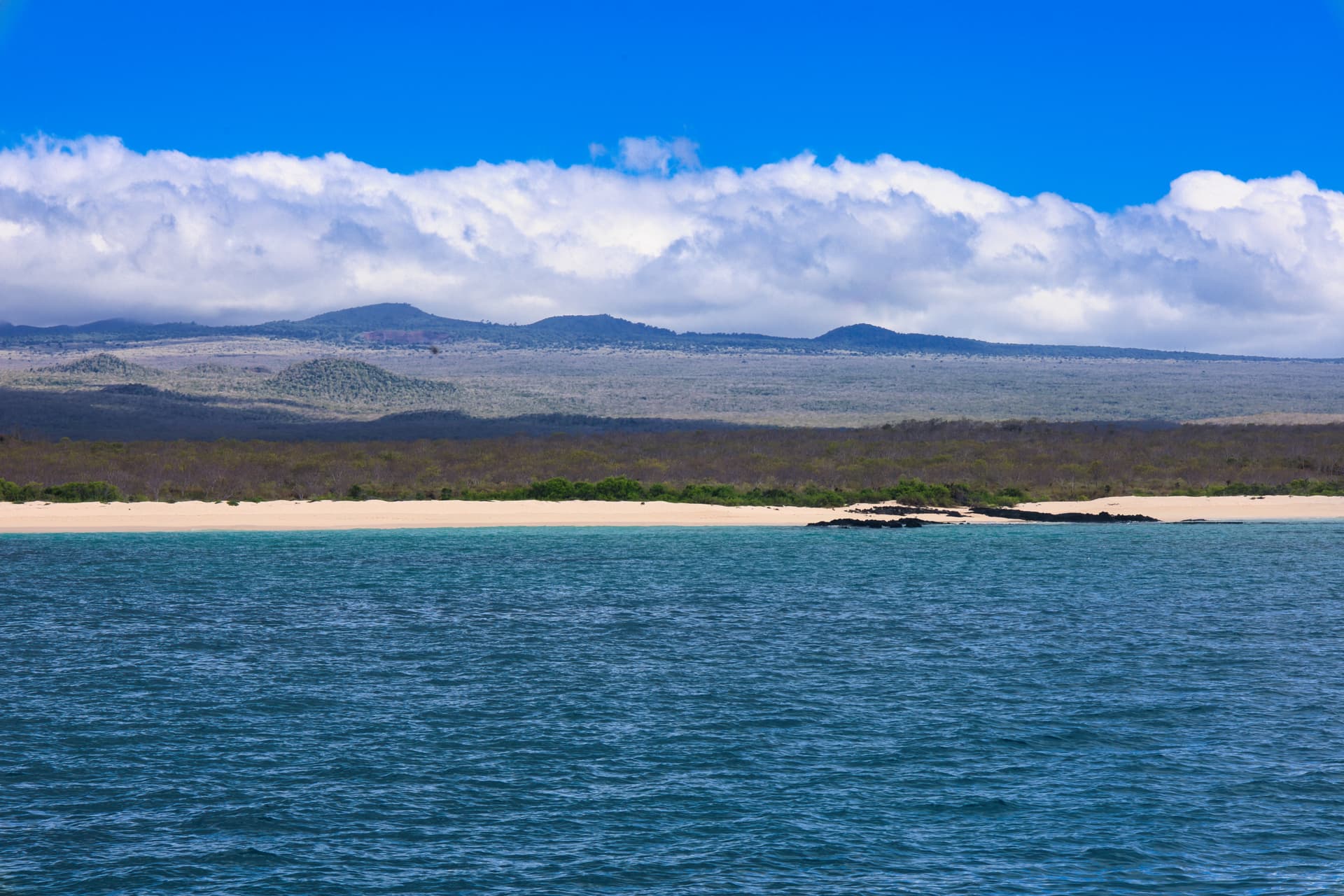 Galapagos Photos