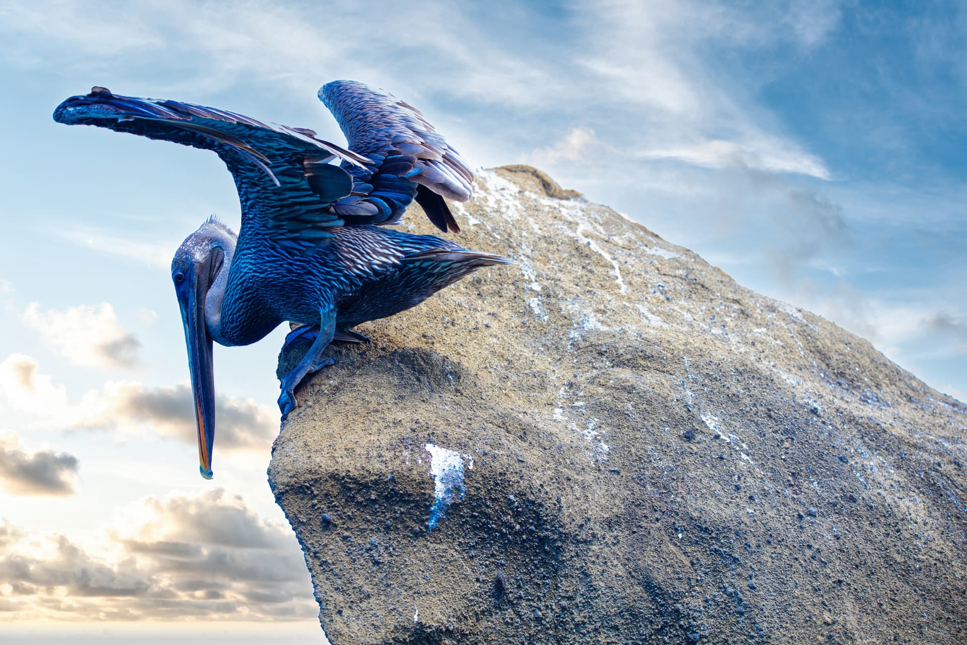 Galapagos Photos