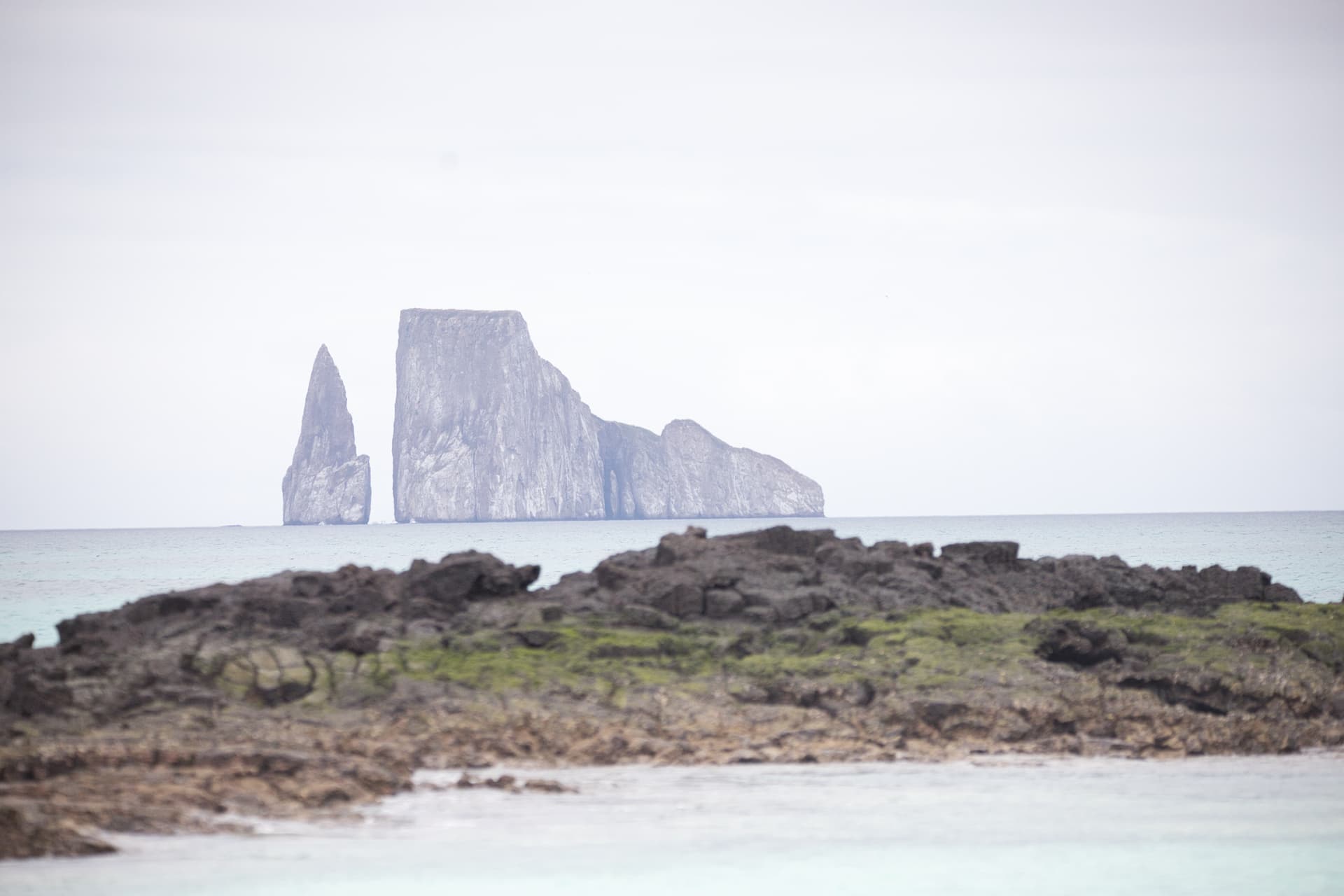 Galapagos Photos