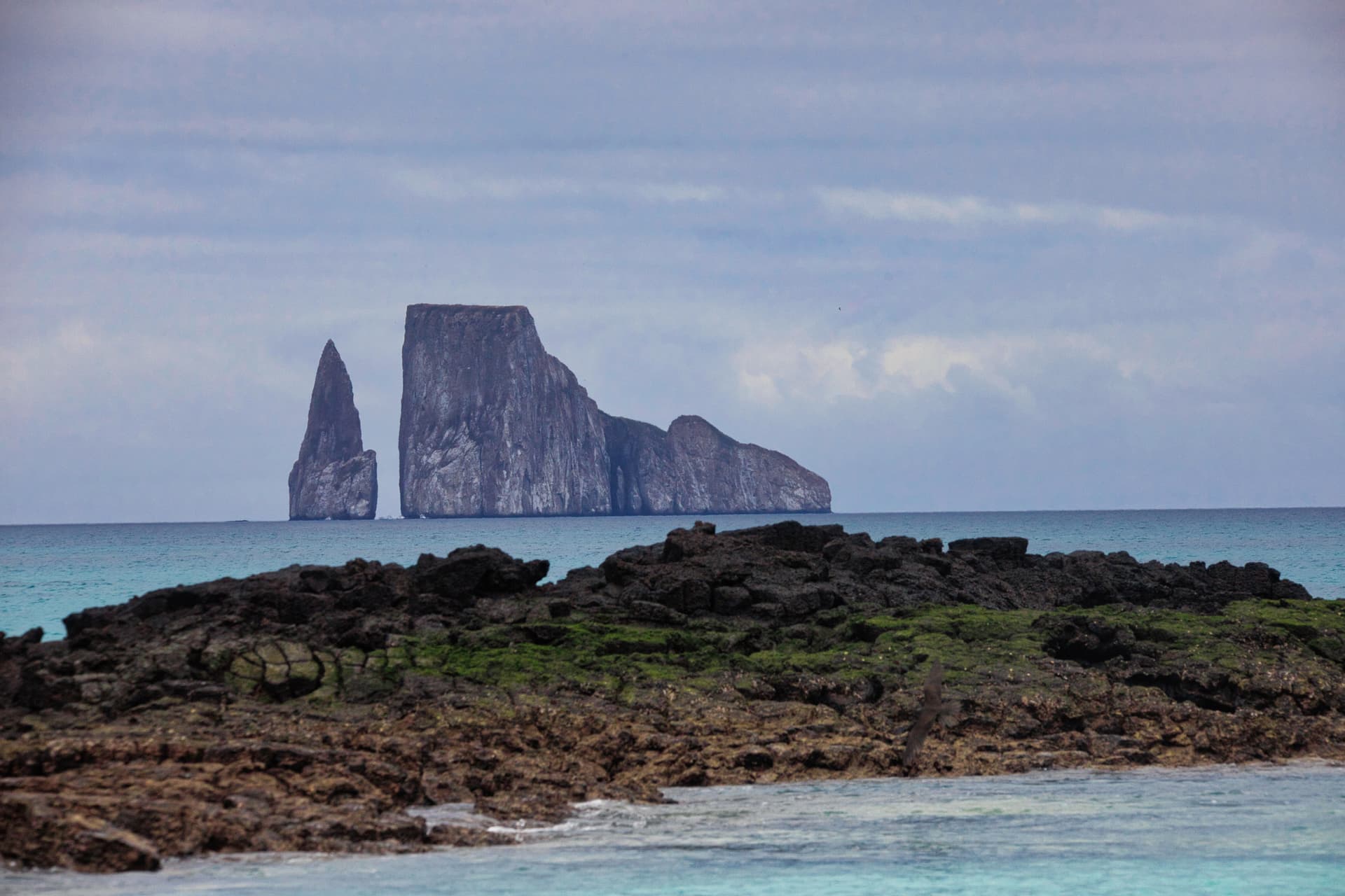 Galapagos Photos