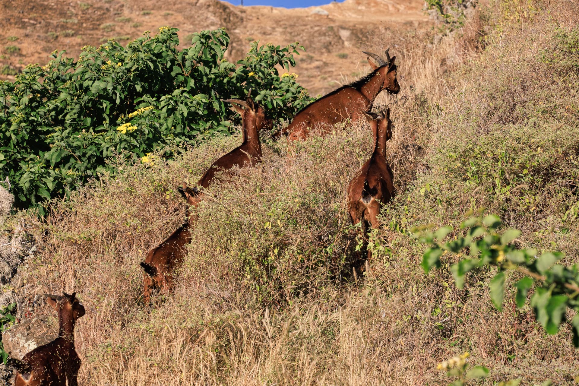 Galapagos Photos