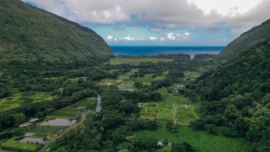Waipi'o Valley