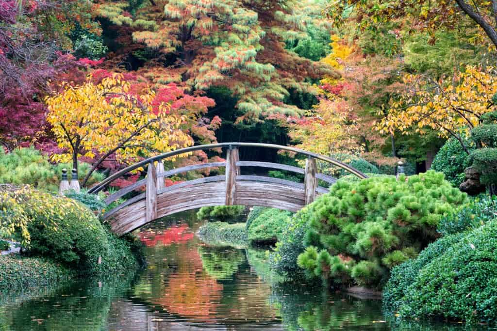 Fort Worth Japanese Garden