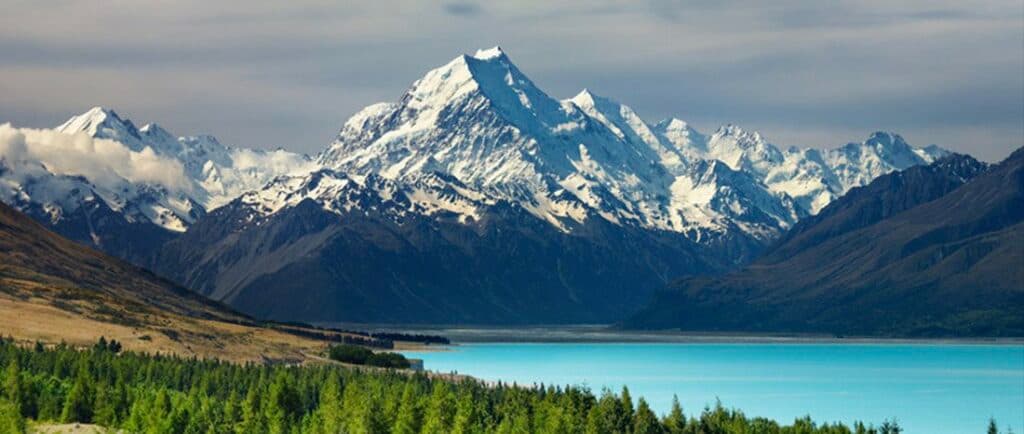 New Zealand Travel Guide