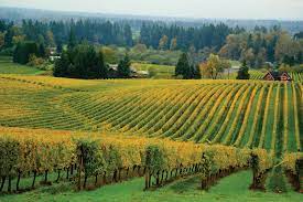 Willamette Valley