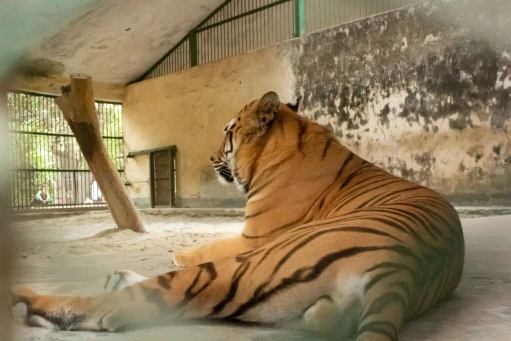 Bangladesh National Zoo