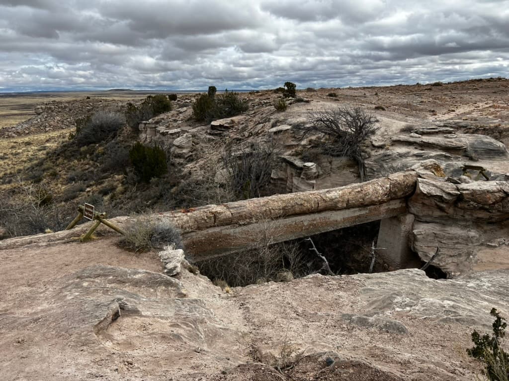 Petrified Forest National Park