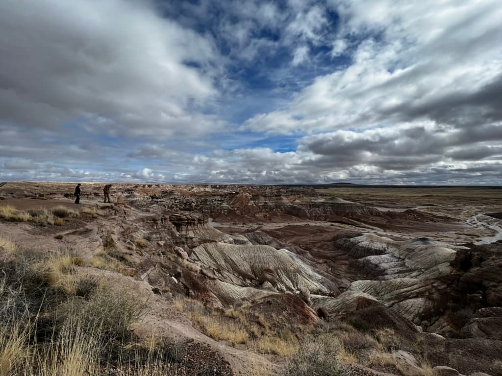 Petrified Forest National Park