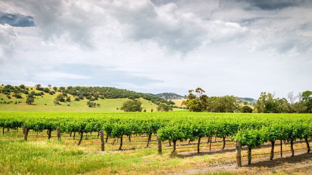 Barossa Valley