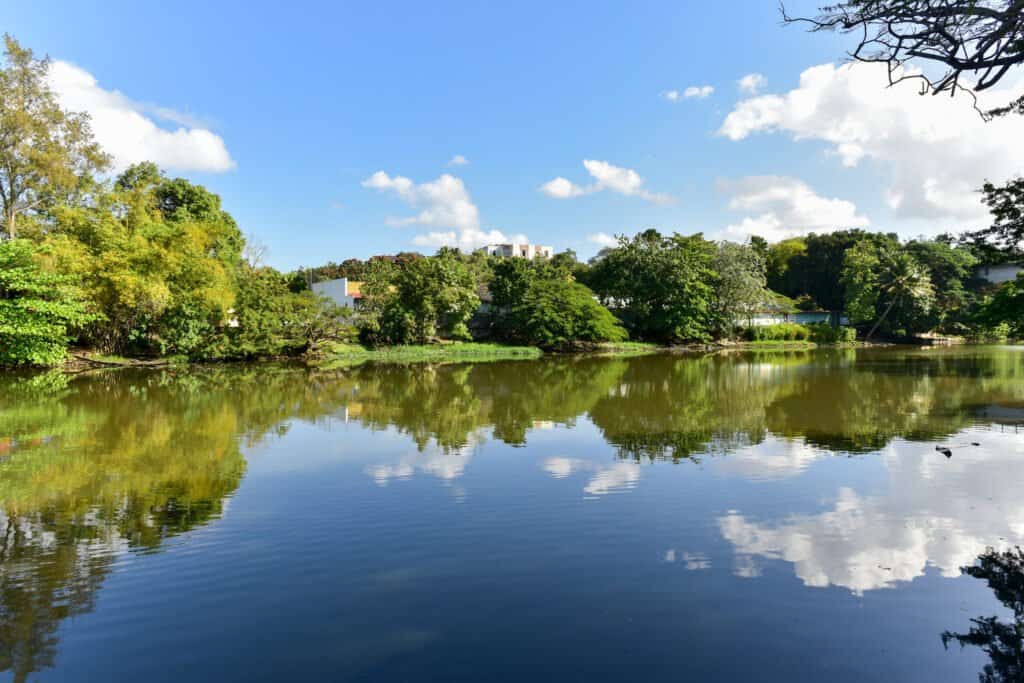 Parque Almendares