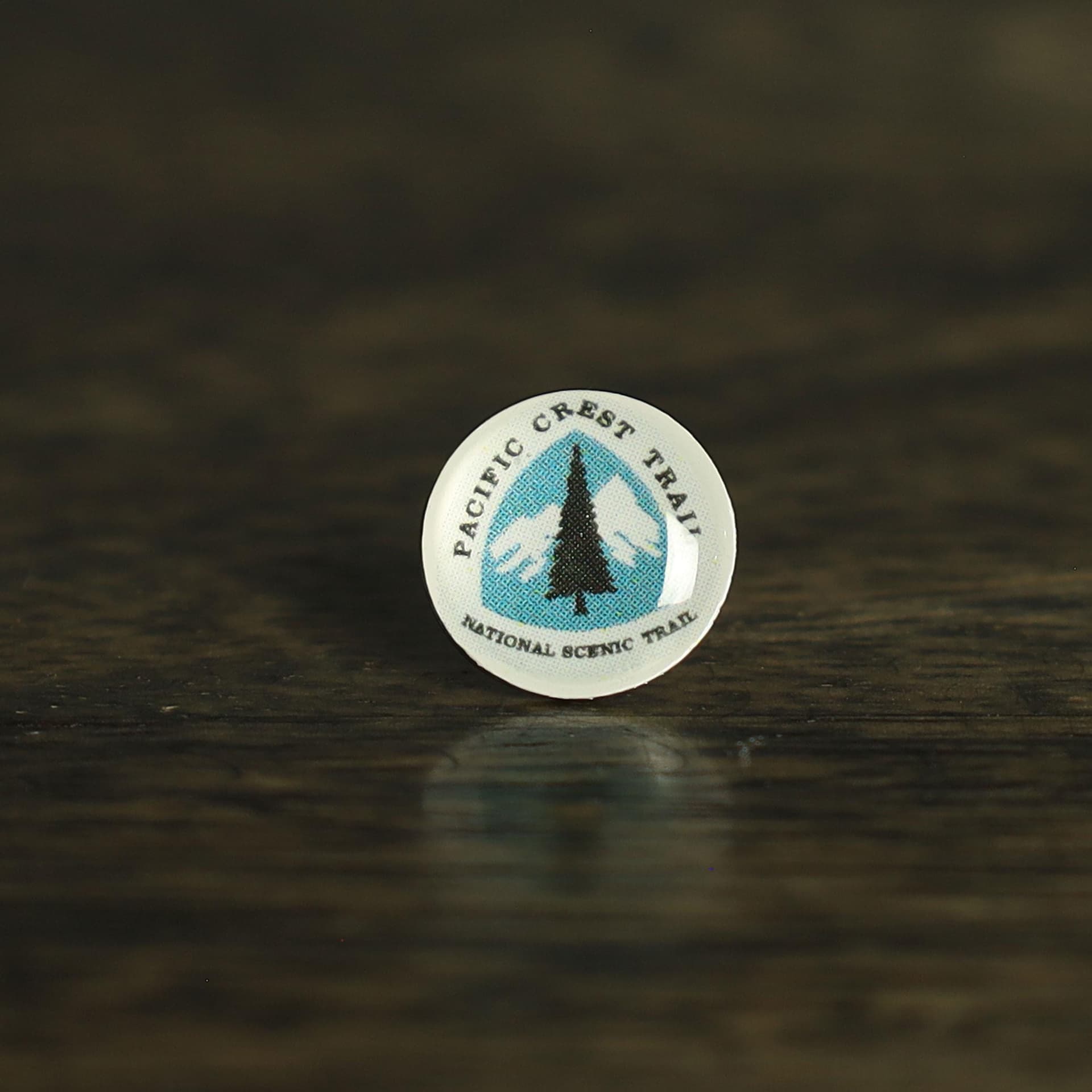 Pacific Crest Trail Map Pin | PCT marker push pin | Pacific Crest Trail map pin for wood map