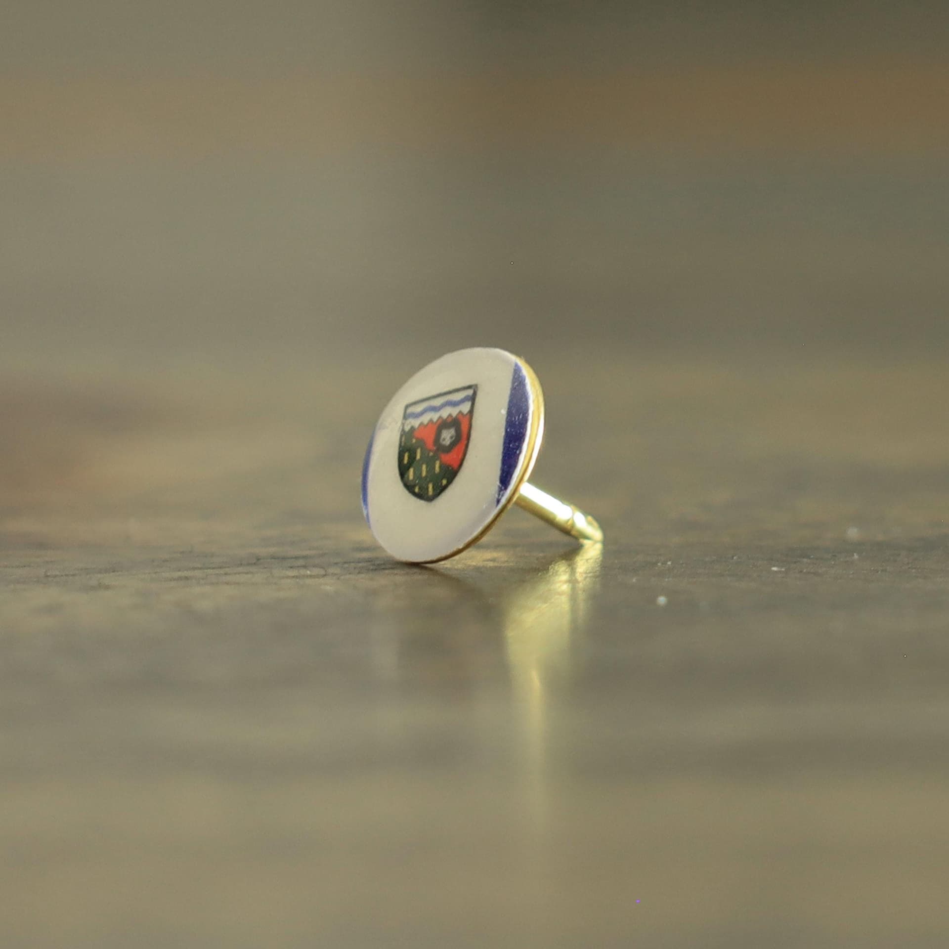 Northwest Territories Flag Map Pin | Northwest Territories Flag push pin | Northwest Territories map pin for wood map