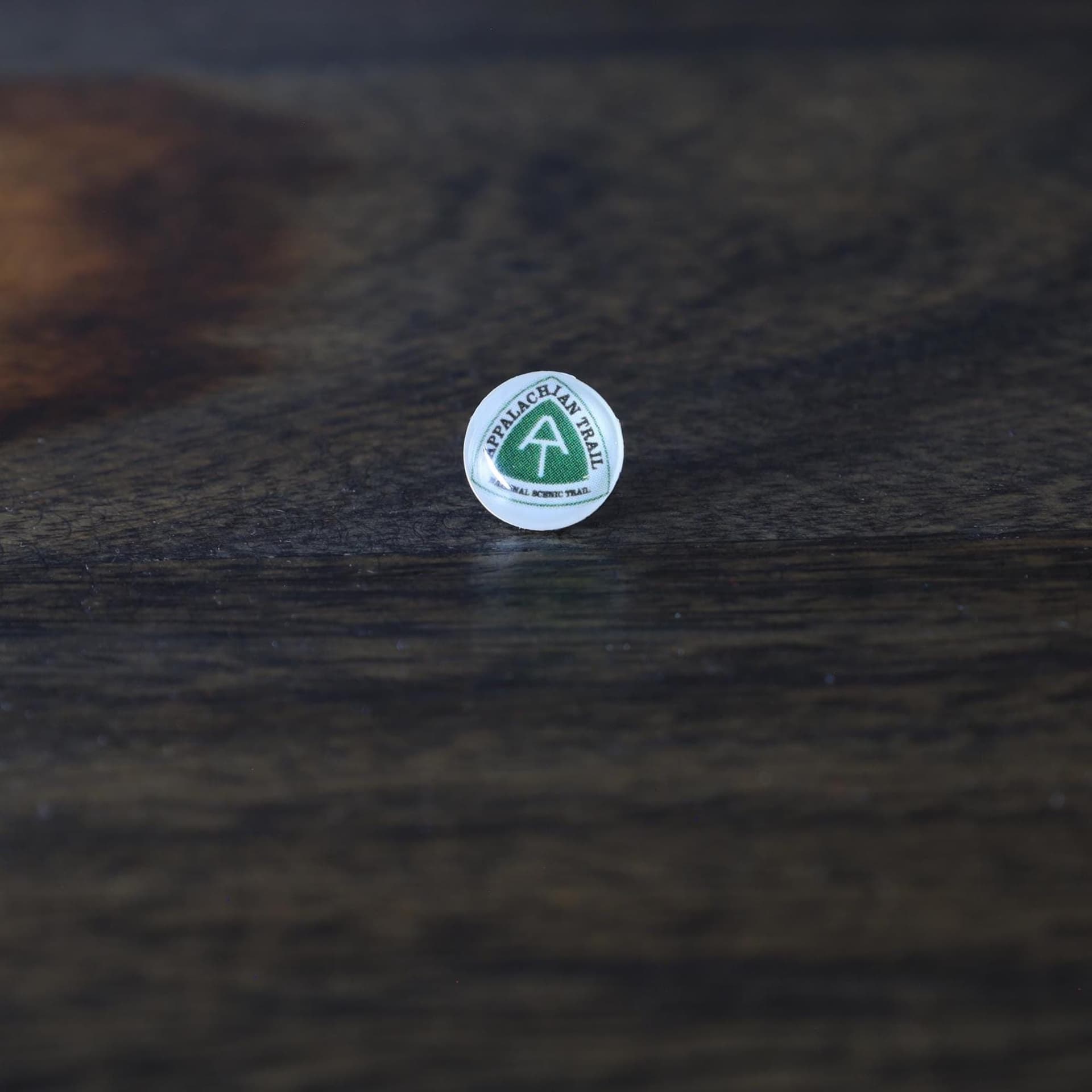 Appalachian National Scenic Trail Map Pin | Appalachian Trail push pin | Appalachian Trail map pin for wood map
