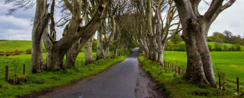 Northern Ireland Travel Guide 2023