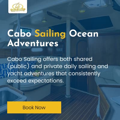 Pacificortez Sailing SA de CV