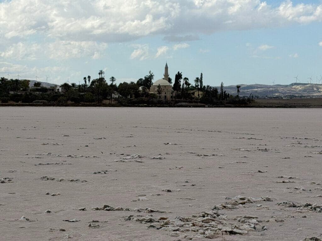 Larnaca Salt Lake