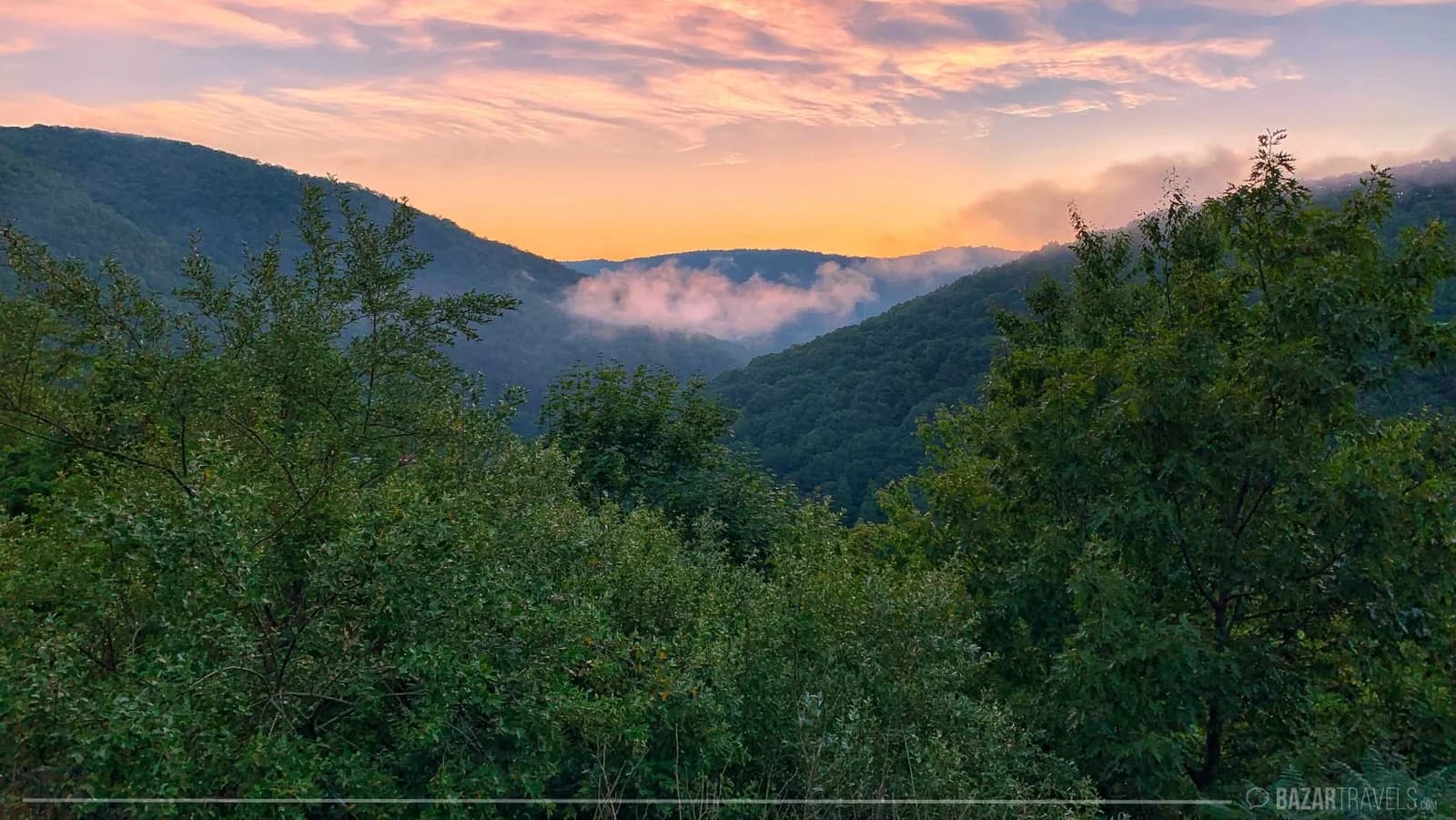 Exploring the Poconos with your dog: a seasonal travel guide