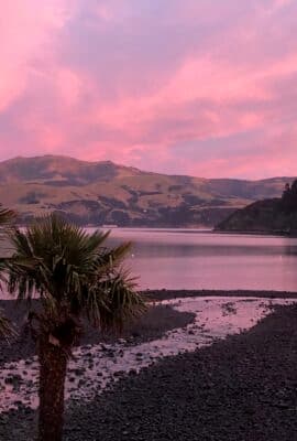 New Zealand Travel Guide