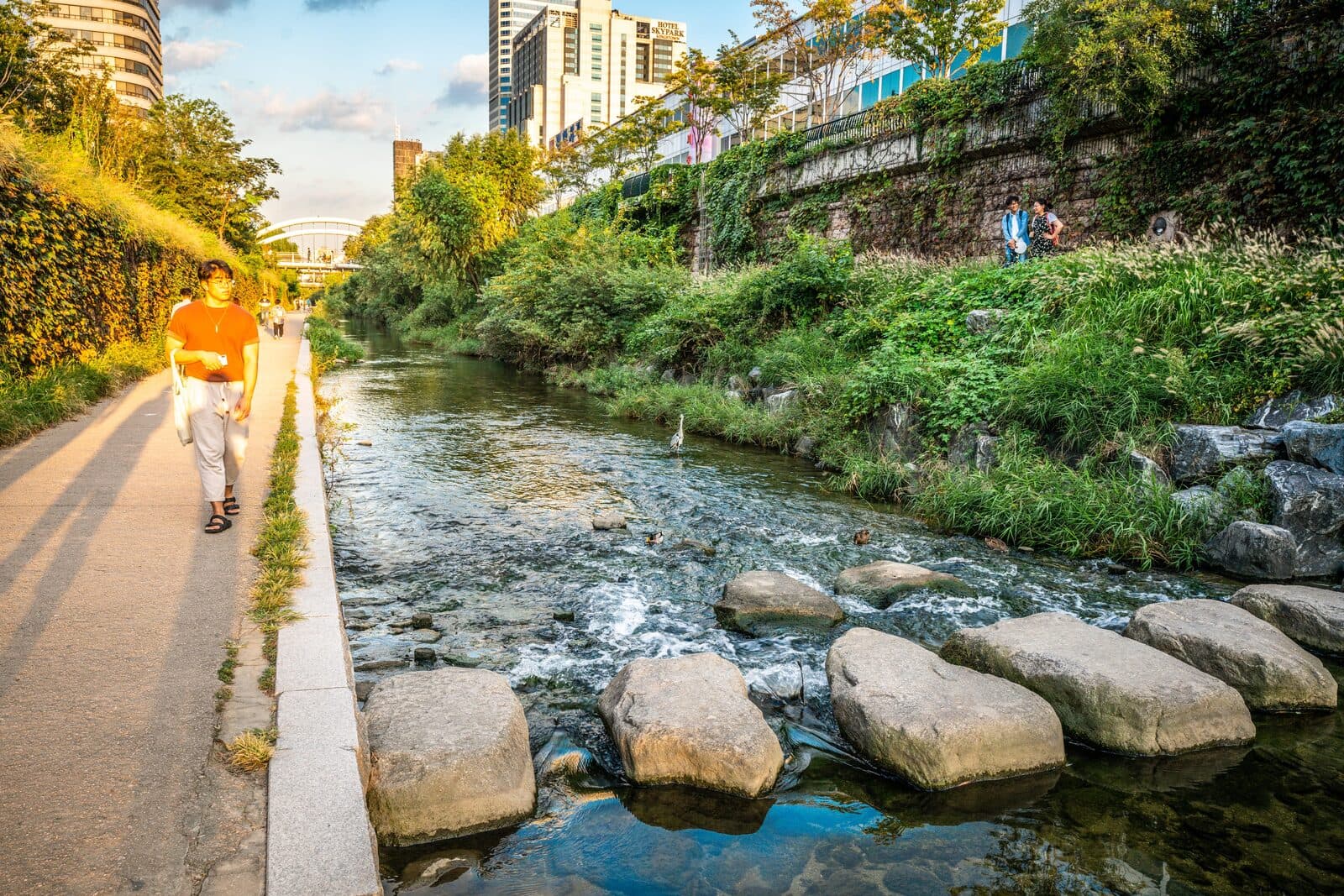 Cheonggyecheon Stream
