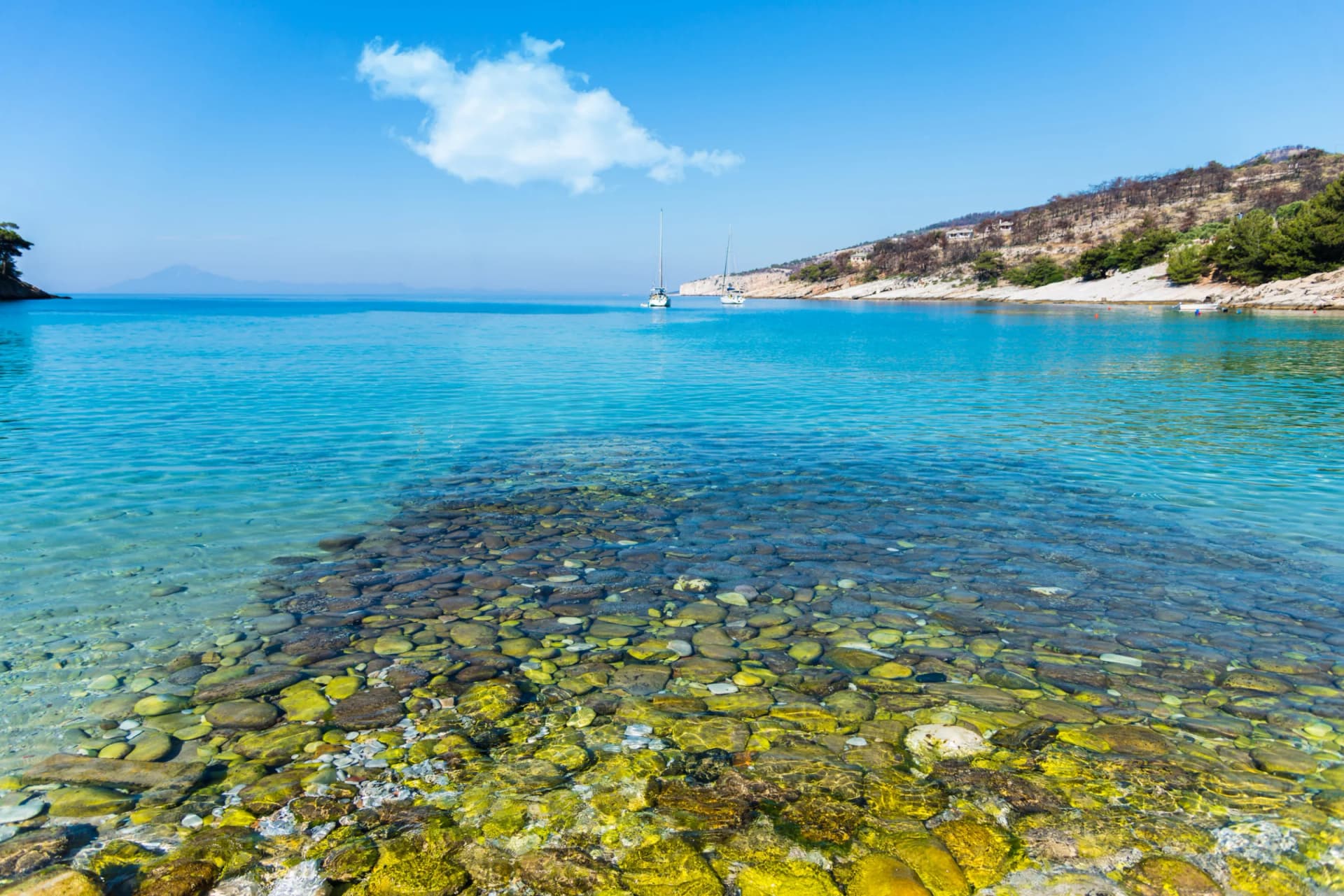 Aegean
