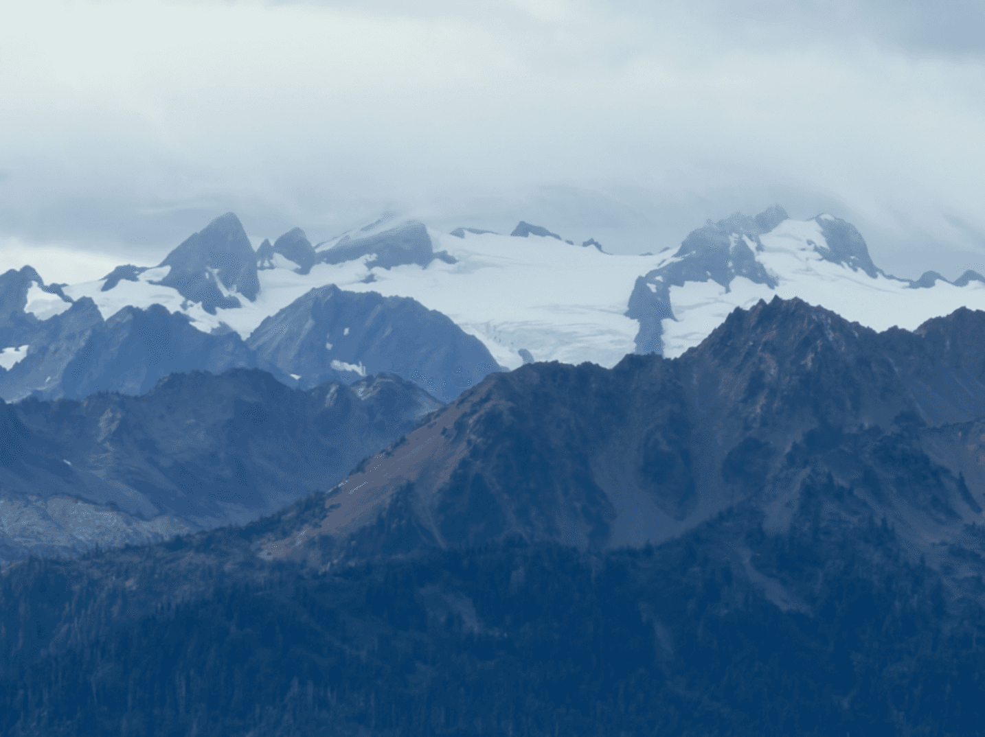 Hurricane Ridge