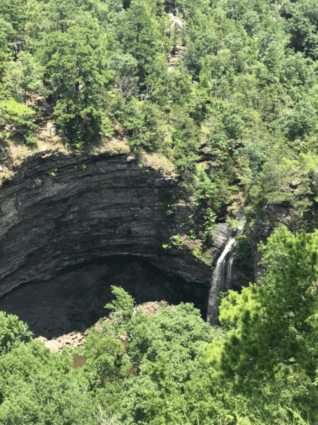 Petit Jean River State Wildlife Management Area